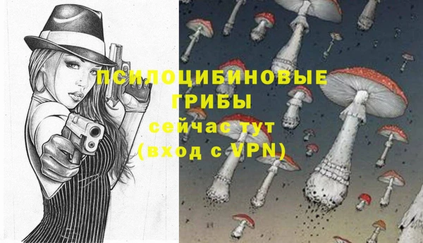 apvp Балабаново