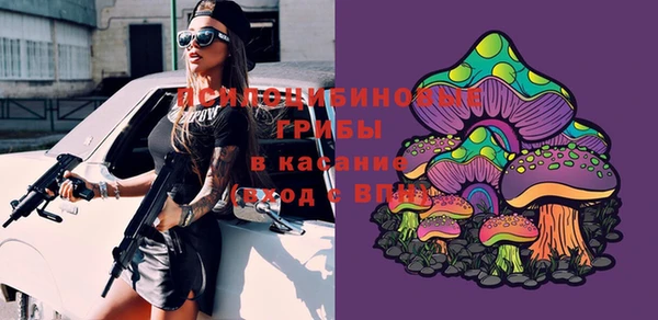 apvp Балабаново
