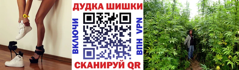 Шишки марихуана индика  Кондрово 